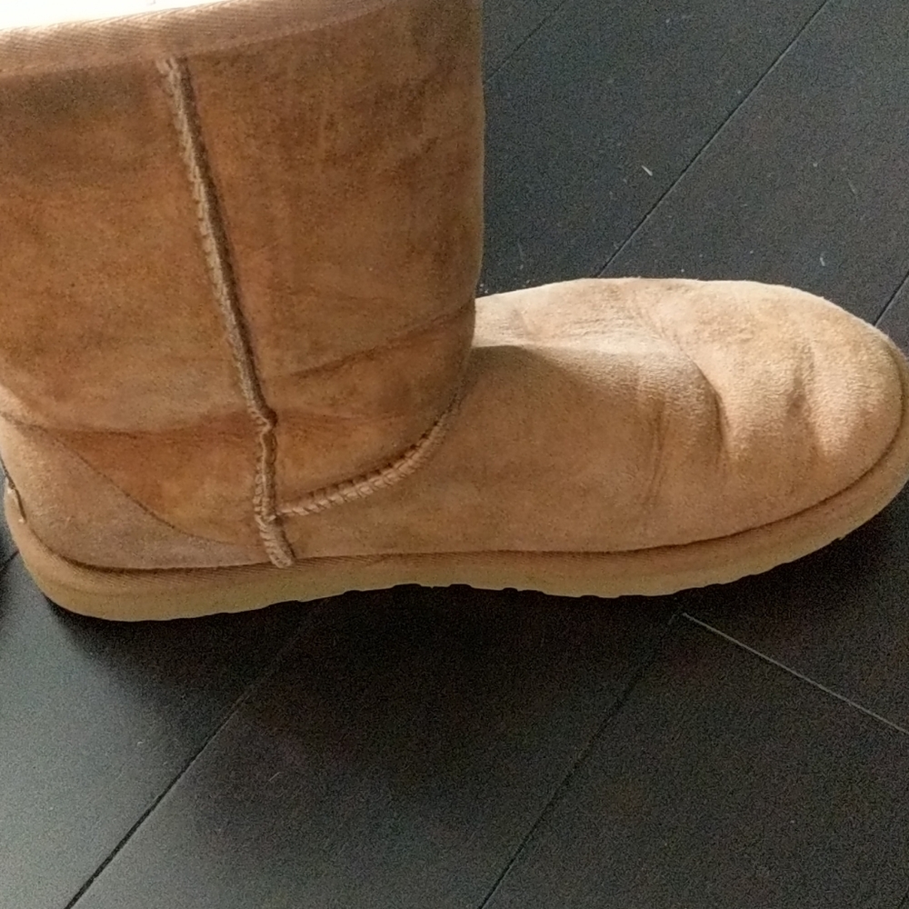 Classic Uggs - image 5